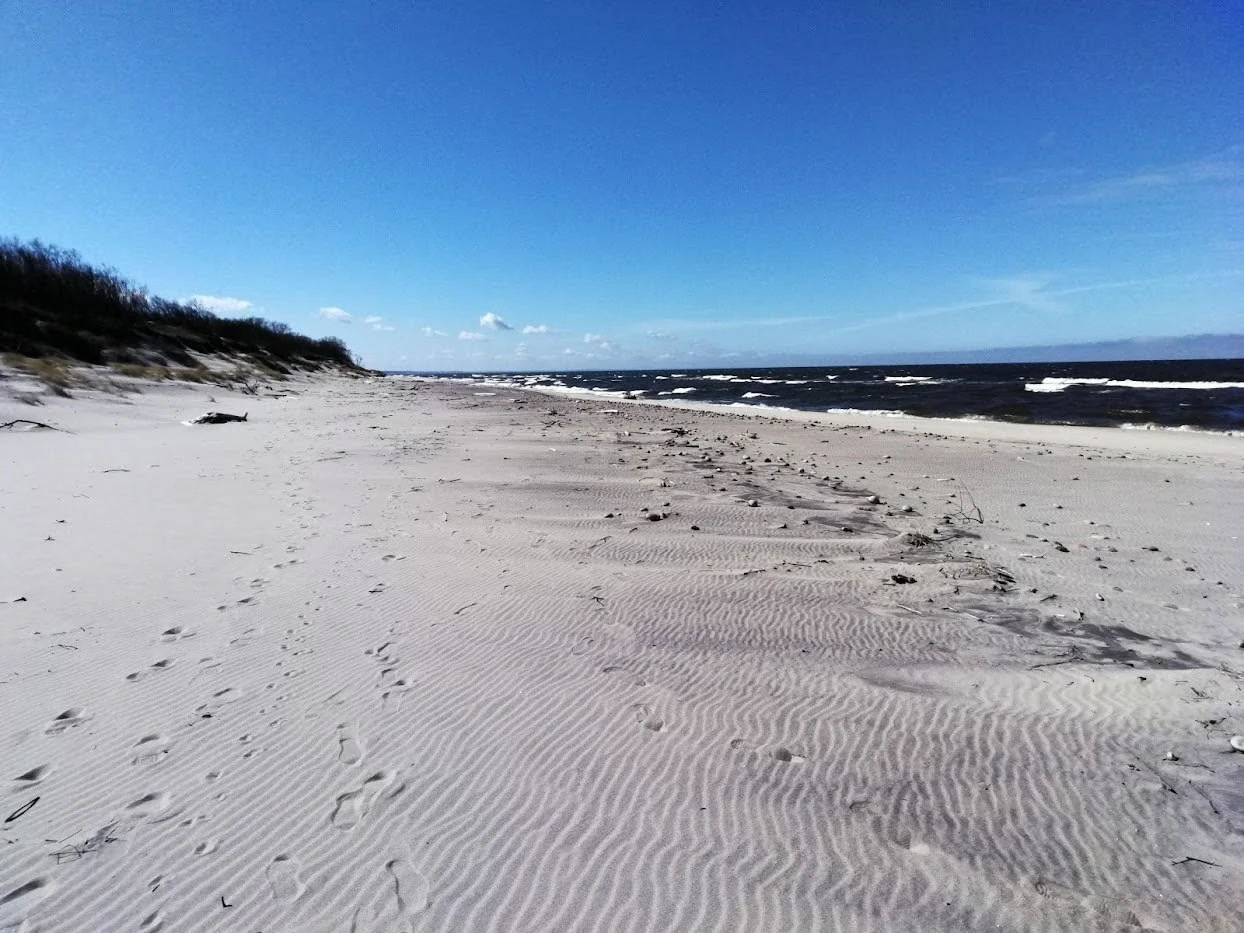 Kaliningrad trip photo collage on a windy Baltic coast